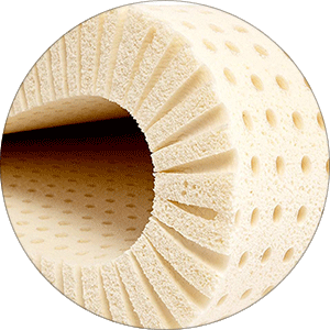 Vegaflex