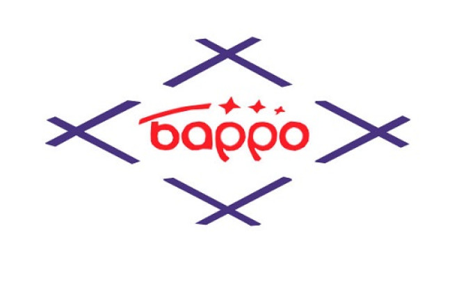 Матрасы Барро