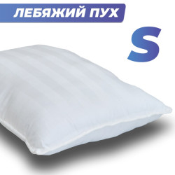     Buona-S 6040