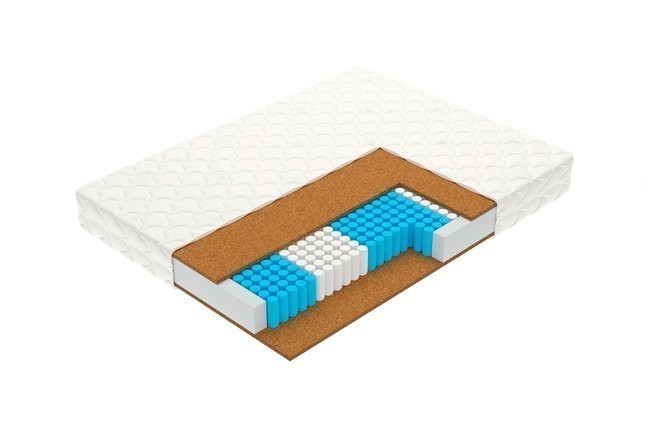  Vegas Smart Focus 120x195